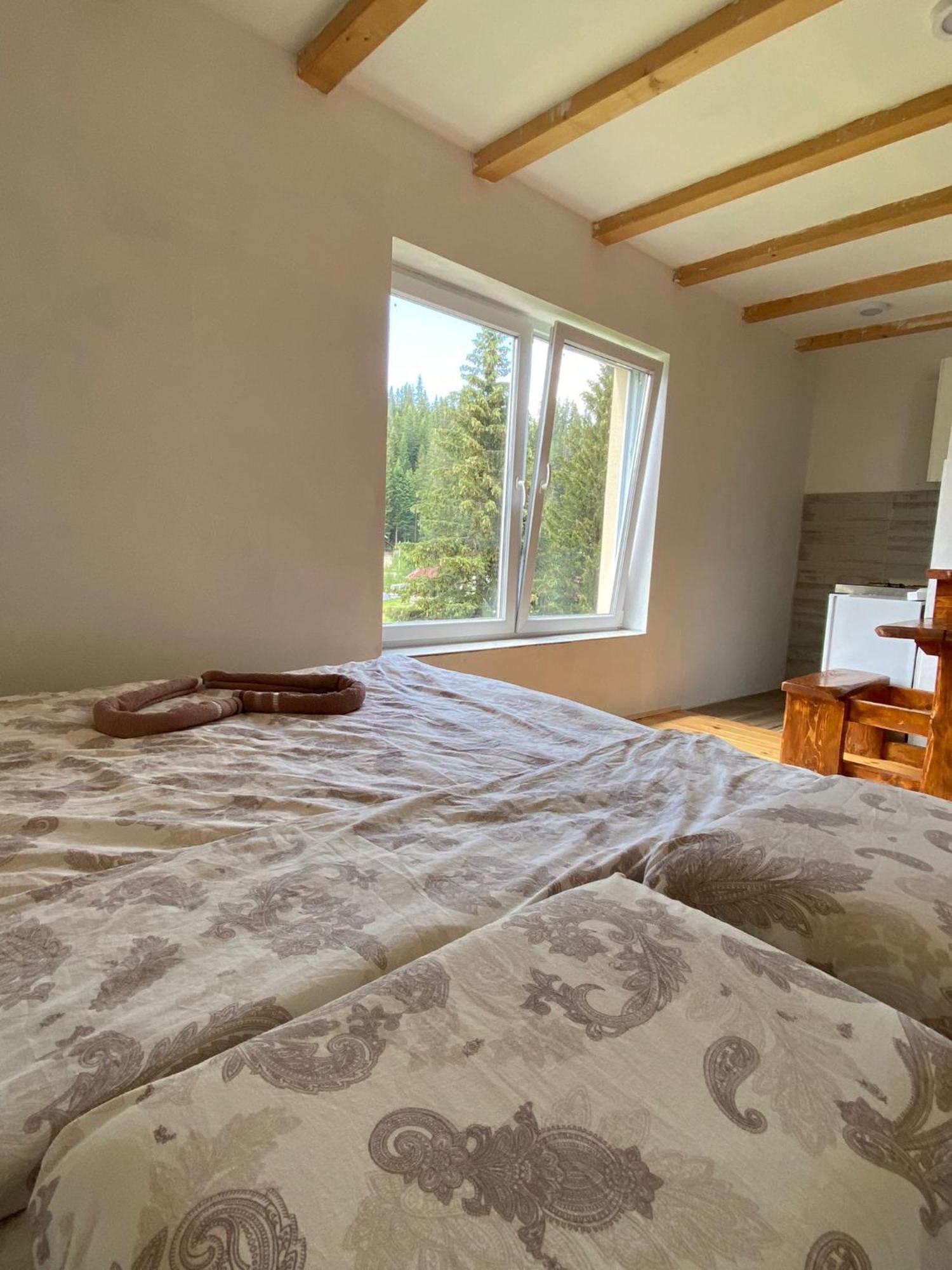 Apartment Durmitor 자블야크 객실 사진